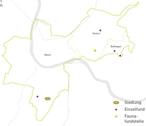 Auf der Kantonskarte sind Fundstellen der Altsteinzeit eingetragen: eine Siedlung auf dem Bruderholz, mehrere Einzelfunde auf dem Bruderholz, in Riehen und in Bettingen und eine Faunafundstelle in Riehen-Ausserberg.