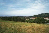 Das aktuelle Foto zeigt den jungsteinzeitichen Fundort auf der Bischoffhöhe bei Riehen aus dem gleichen Blickwinkel.