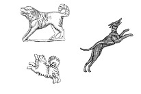 Zeichnung verschiedener Hunderassen zur Römerzeit. Links: Massiger Rottweiler-Typ und Zwergspitz-Typ. Rechts: Windhund-Typ.