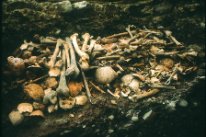 Foto des ausgegrabenen Ossuars, es ist ein Haufen an Knochen zu sehen, vor allem Langknochen wie der Oberschenkel und Schädel sind sichtbar